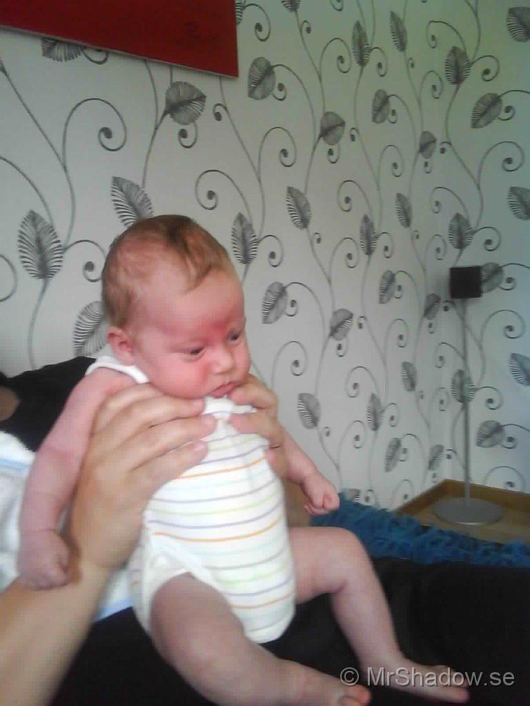 Foto 0072.jpg